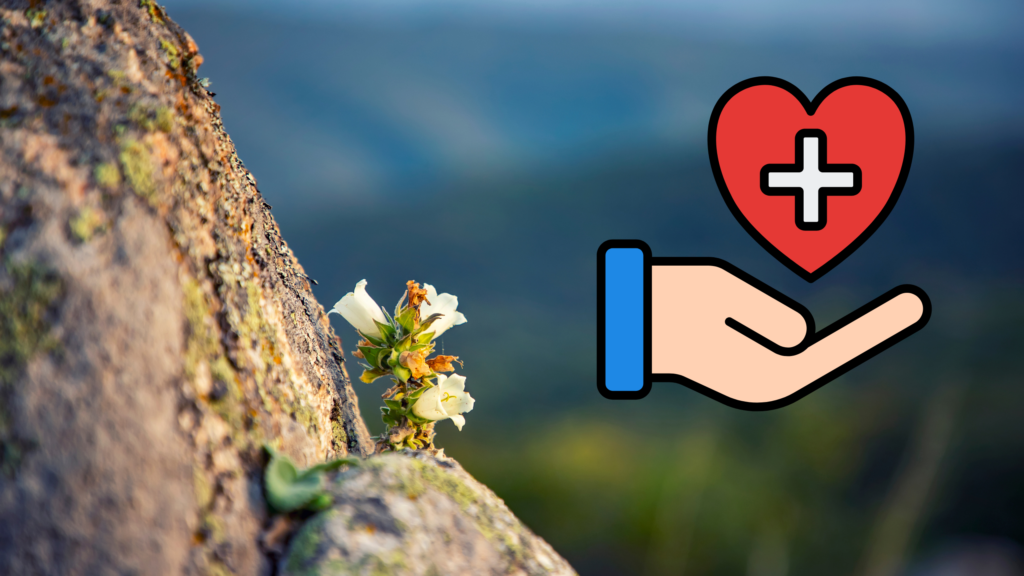 45+ Funny Senior Life Quotes to Celebrate Aging with Humor and Joy