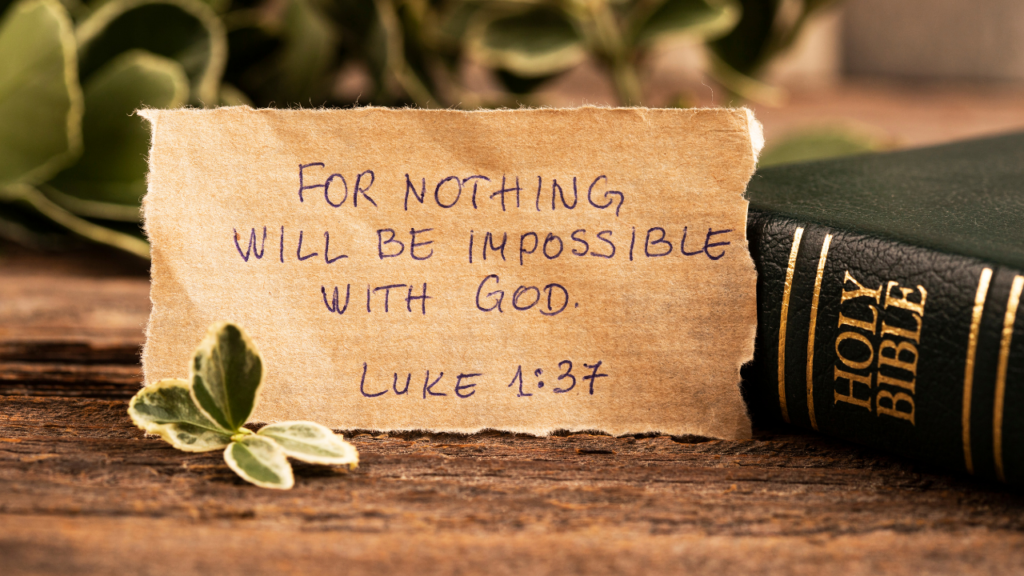 50+ Funny Christmas Quotes to Make Your Holiday Season Merry and Bright