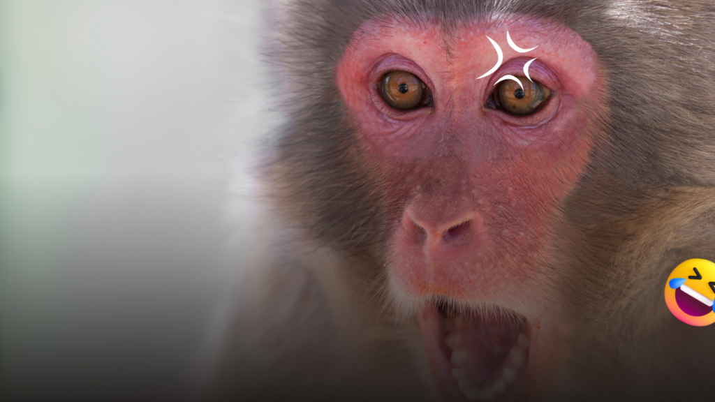 50 Very Short Funny Quotes to Brighten Your Day