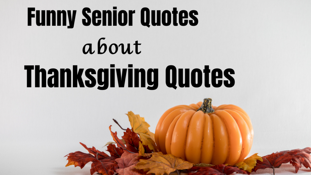 50+ Funny Thanksgiving Quotes to Make Your Holiday Memorable
