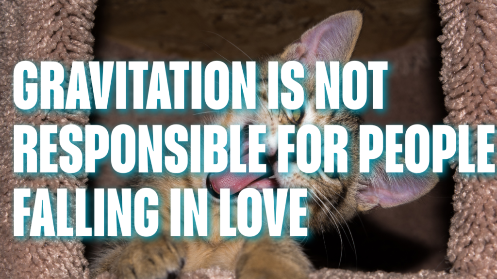 Short Funny Quotes About Love