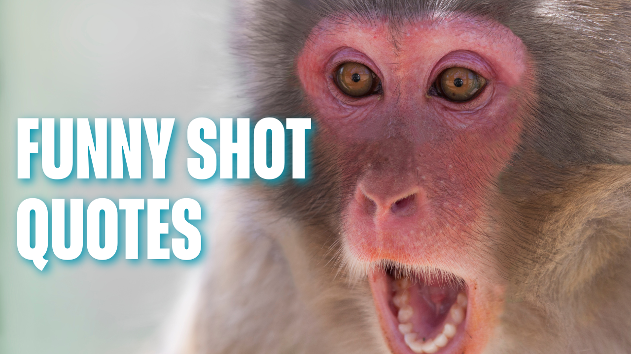 45+ Short Funny Quotes to Make Everyone Laugh