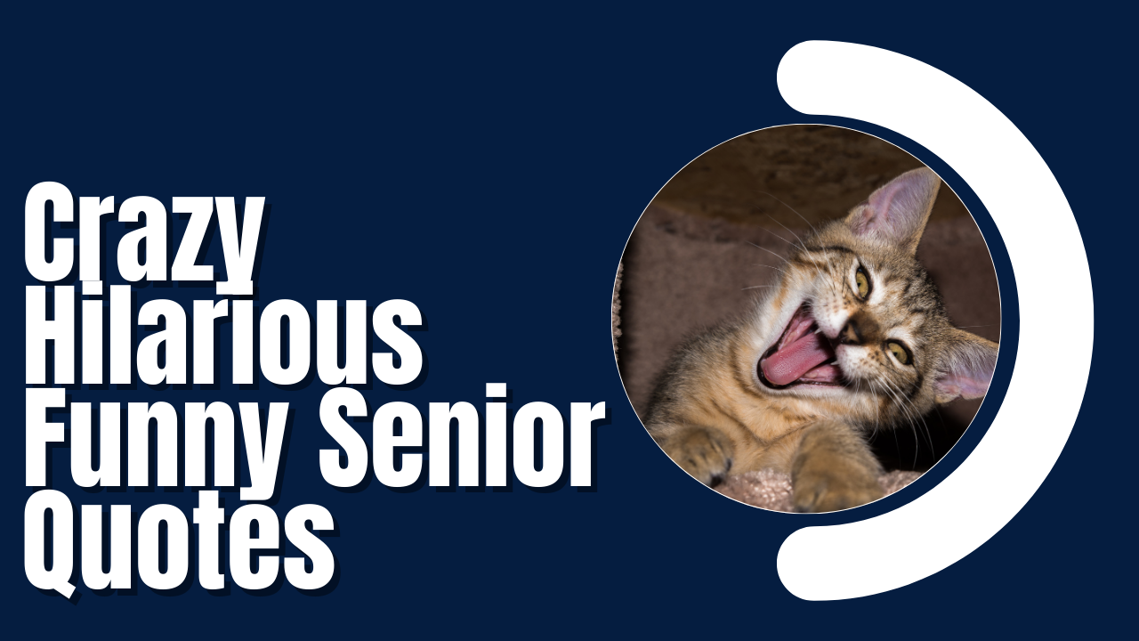 50+ Crazy Hilarious Funny Senior Quotes to Make Your Yearbook Unforgettable