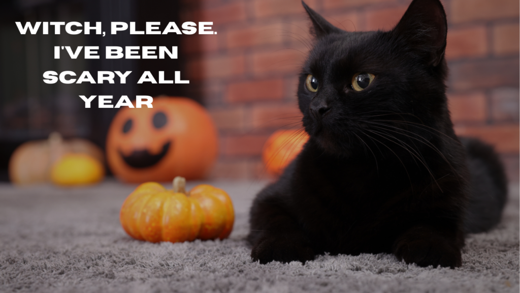 Funny October Quotes That Capture the Spooky Season