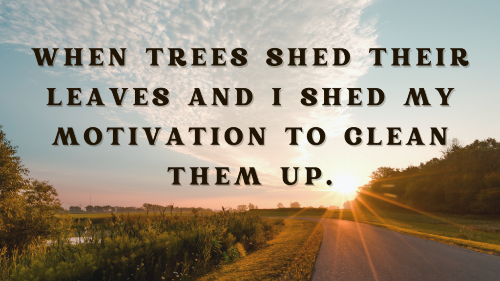 Funny Sayings Fall Quotes: 50 Hilarious Autumn Quotes to Make You LOL