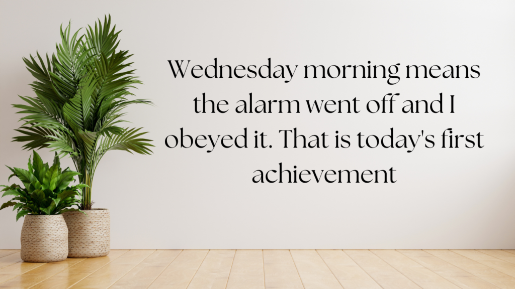 Hilarious Senior Wednesday Quotes About Age and Midweek Feelings