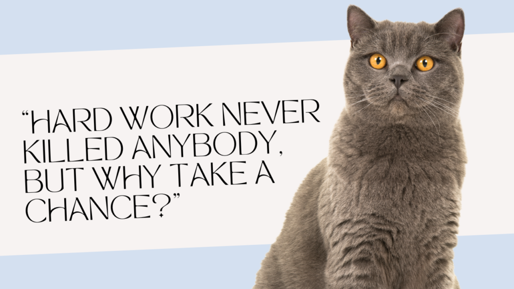 Funny Senior Quotes About Memory and Forgetting