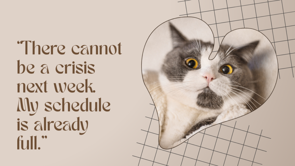 Hilarious Senior Quotes About Family and Grandchildren