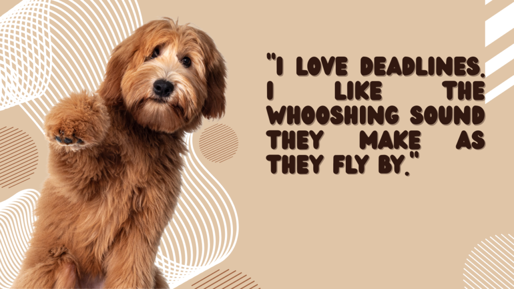 Short Hilarious Senior Quotes Perfect for Instagram and Birthday Cards