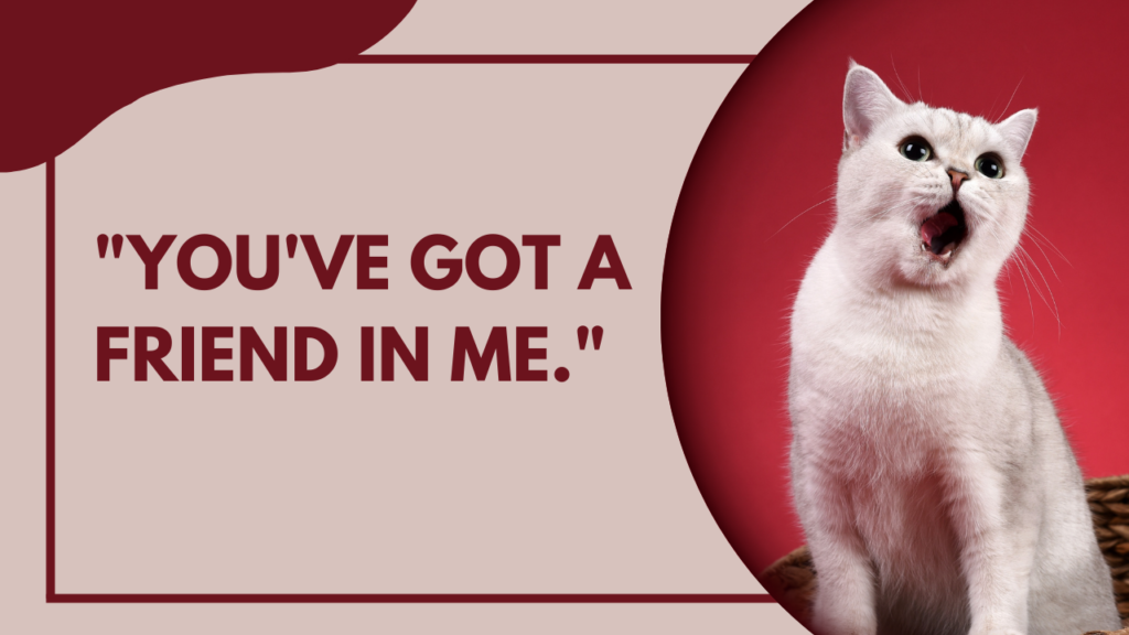 25 Cute Funny Senior Quotes About Thinking That Capture Life's Best Moments