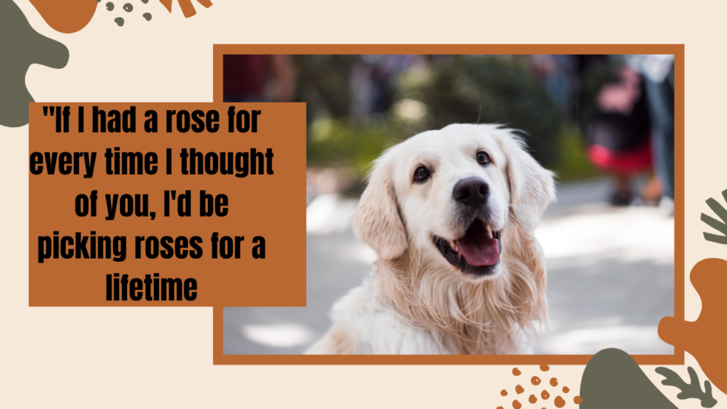 25 Cute Funny Senior Quotes About Thinking That Capture Life's Best Moments