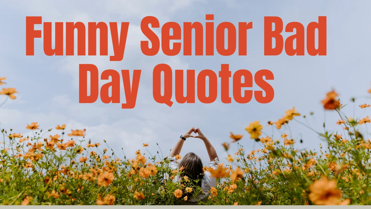 100+ Hilarious Funny Senior Bad Day Quotes to Make You Laugh Again