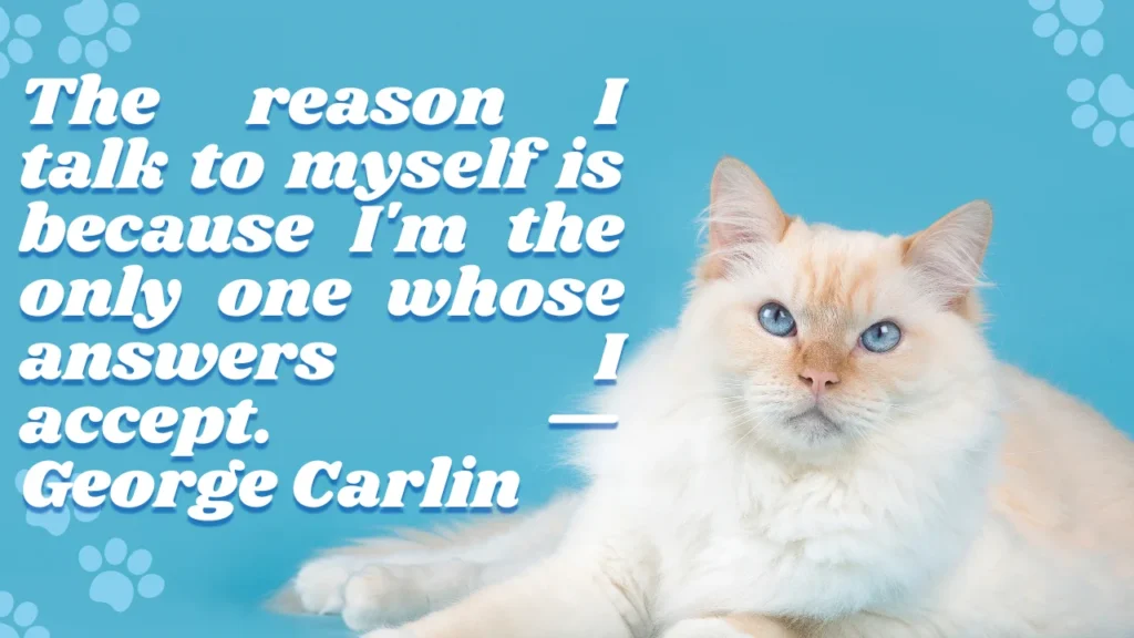 How to Use Funny Quotes in Everyday Life (And Actually Make People Laugh)