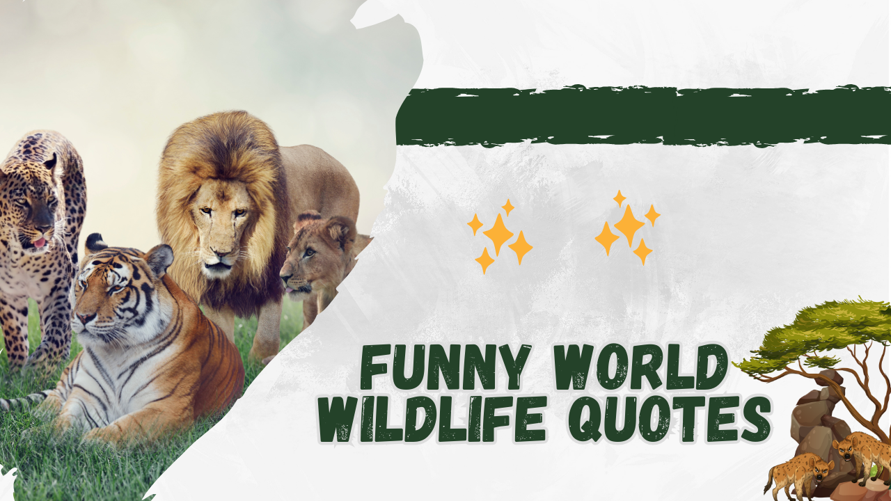 50+ World Wildlife Day Funny Quotes to Celebrate Nature with Humor