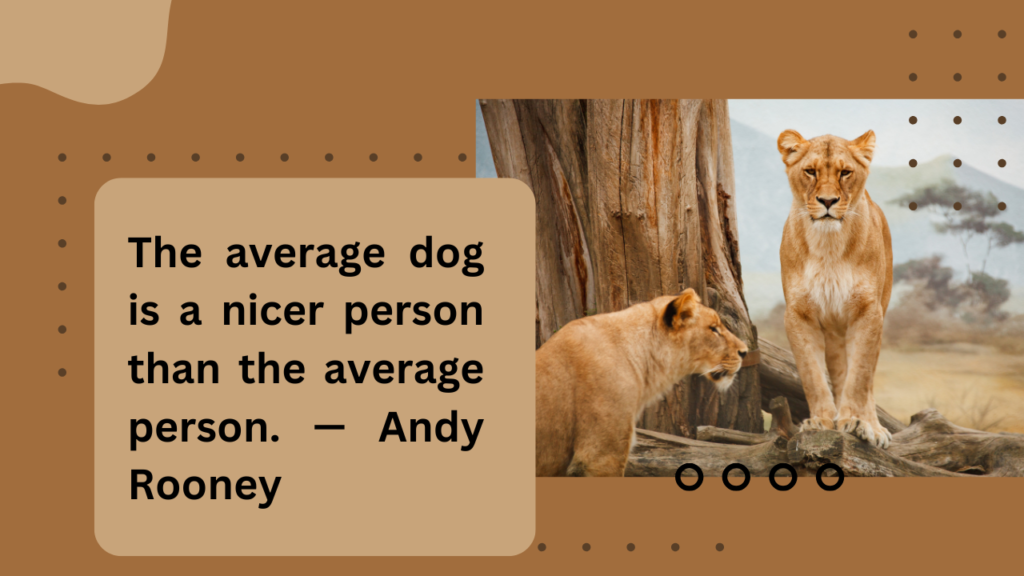 Funny Wildlife Conservation Captions and Sayings