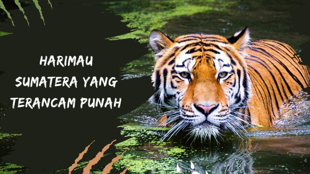 Funny Animal and Wildlife Quotes That Make You Think