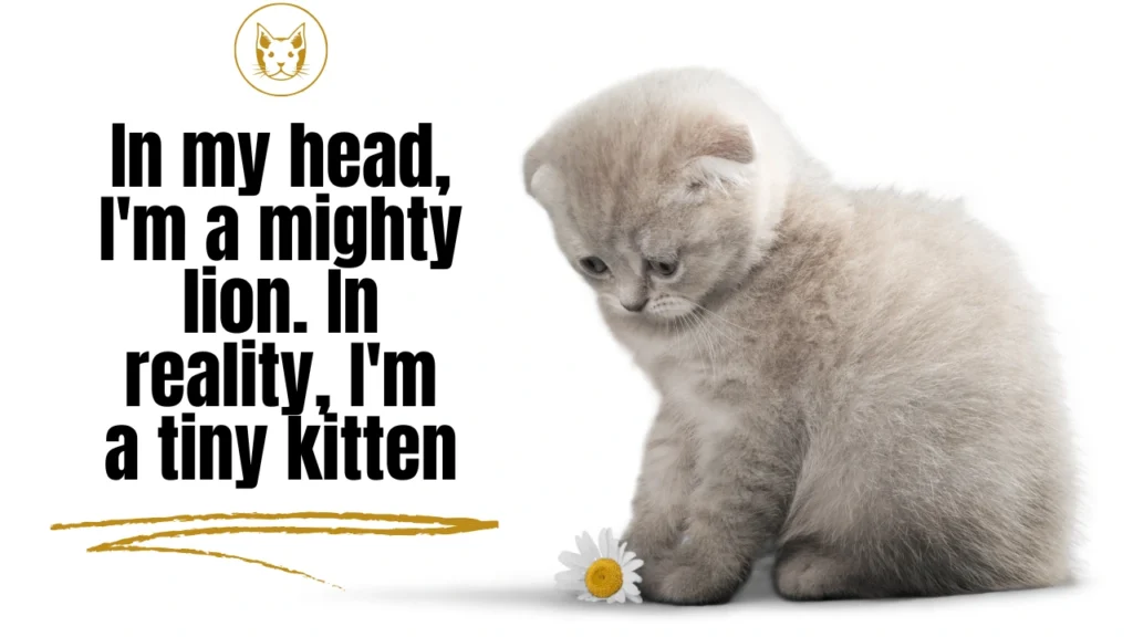 Short Funny Cat Quotes That Are Brutally True