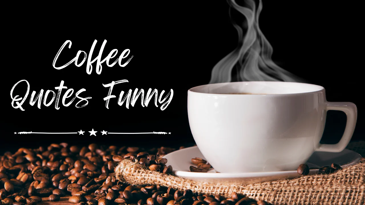 100+ Funny Coffee Quotes That Will Perk You Up Instantly ☕😂