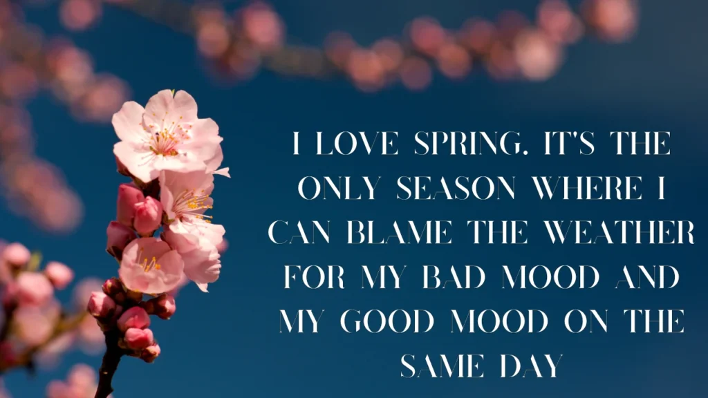 Funny Spring Quotes About Flowers, Nature and Blooming
