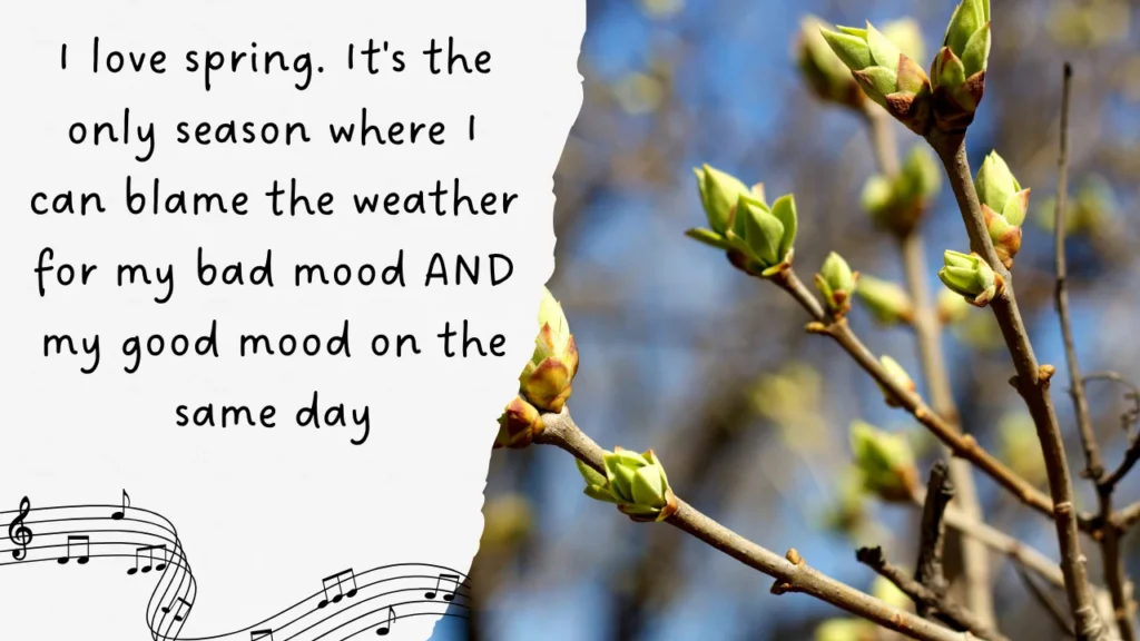 Hilarious Spring Weather Quotes That Are Too Real