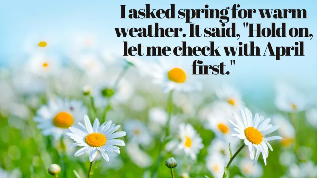 Funny Spring Quotes to Kickstart Your Season With a Smile